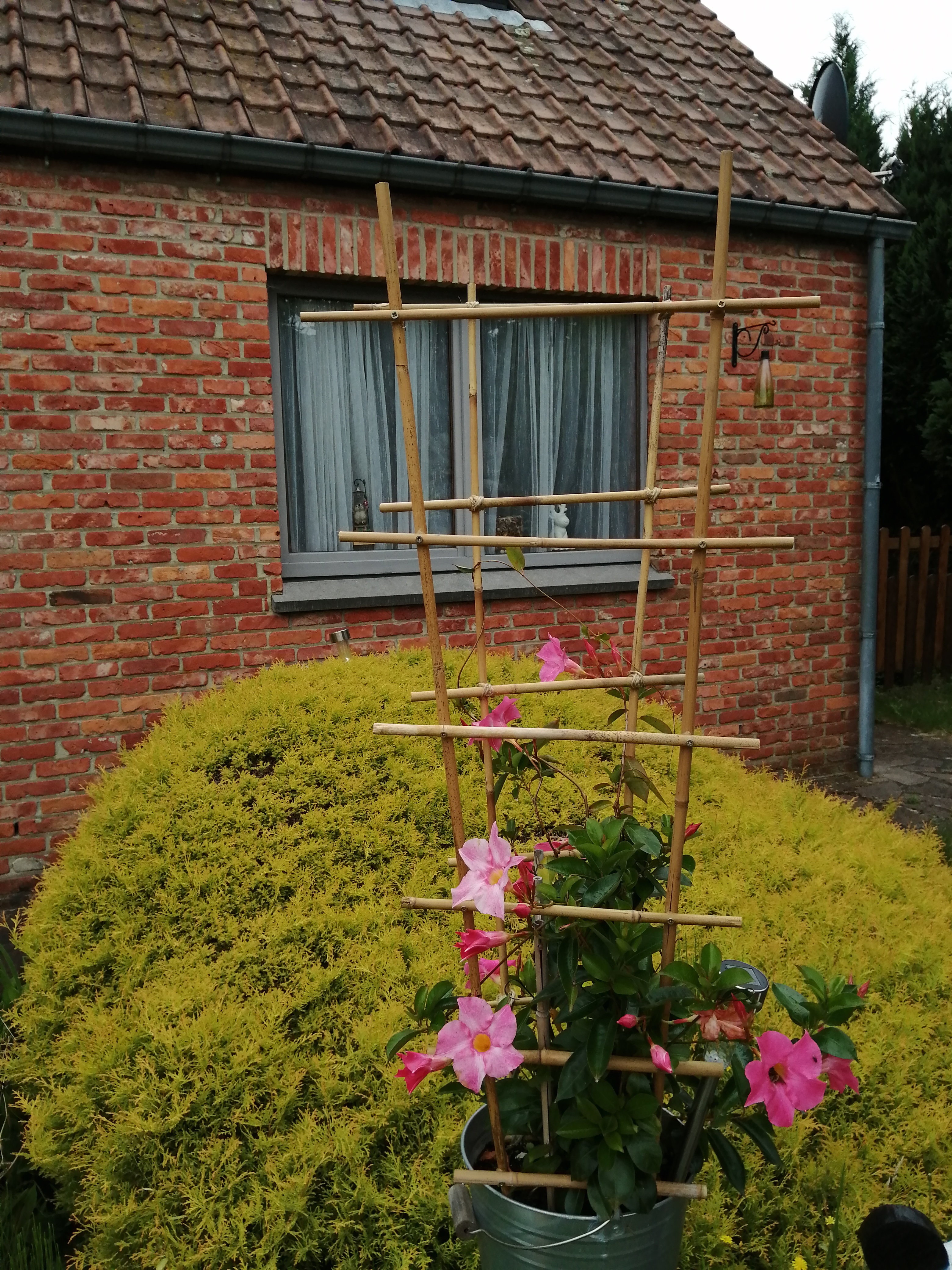 Img 20210713 144037