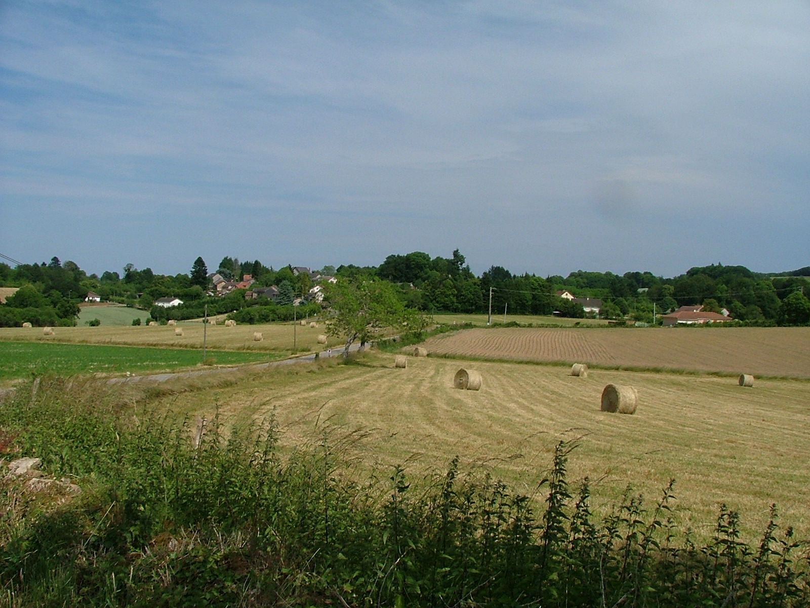 Le theil
