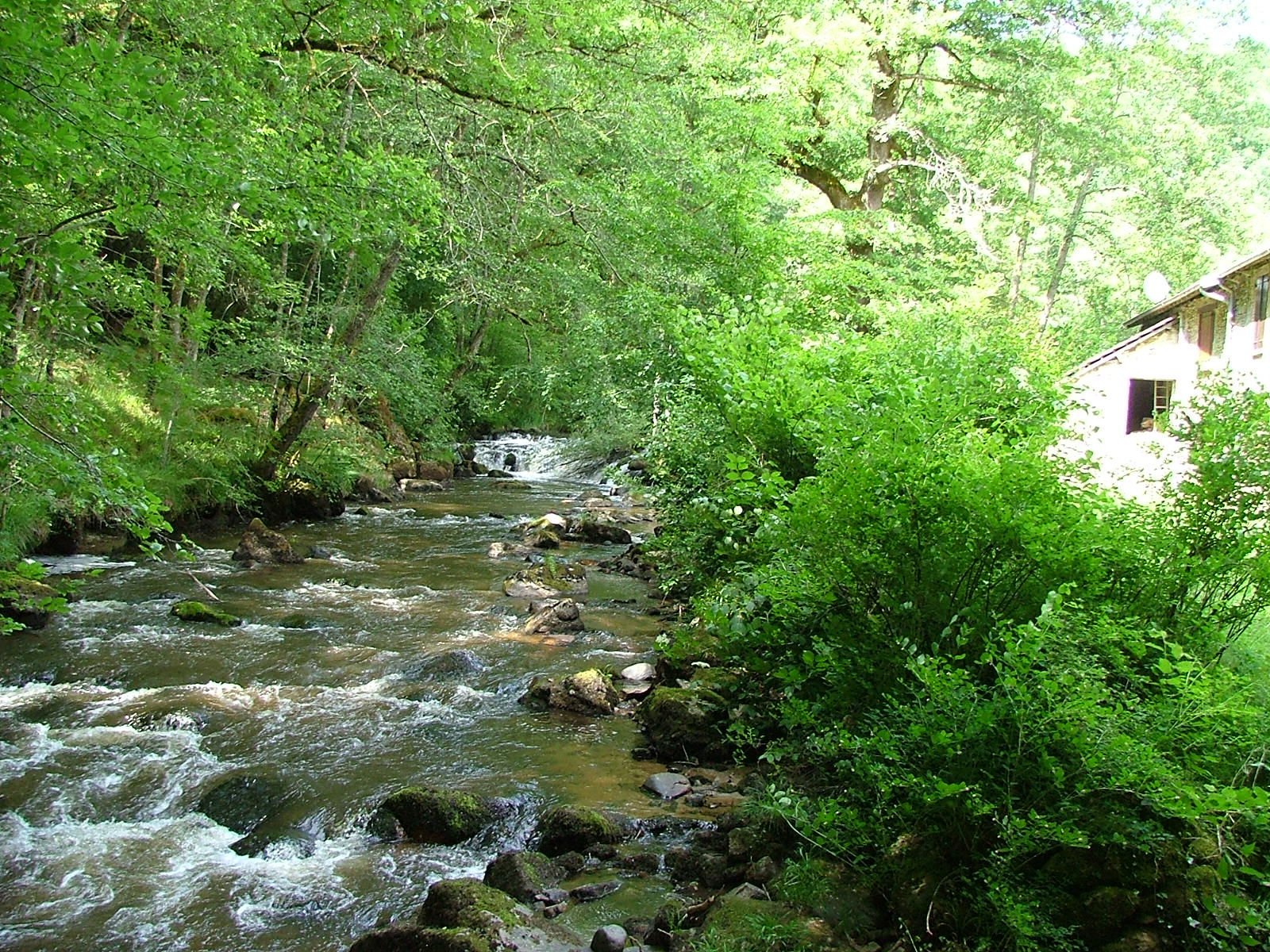 Moulin