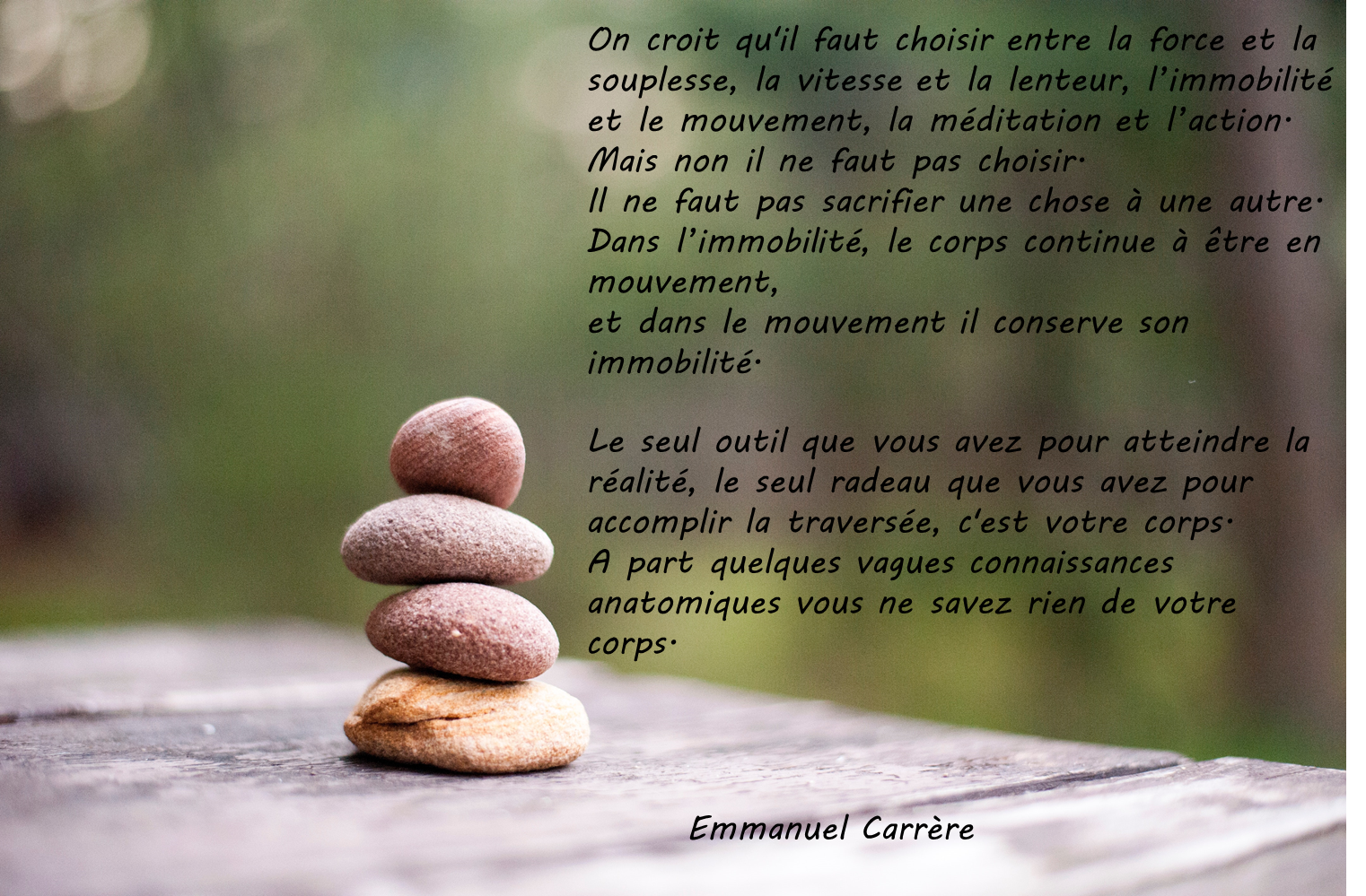 Mouvement ou immobilité ?
