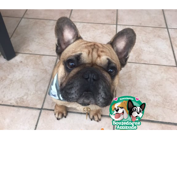 Oliver