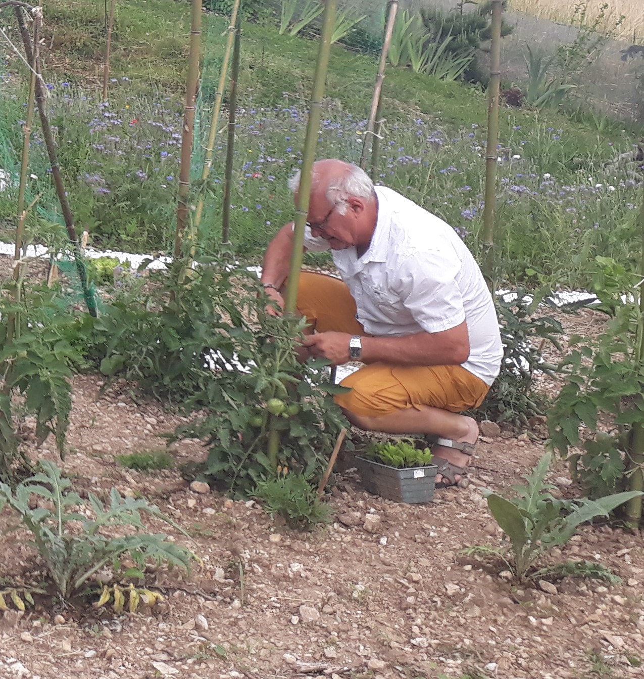 Georges