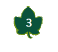 Feuille