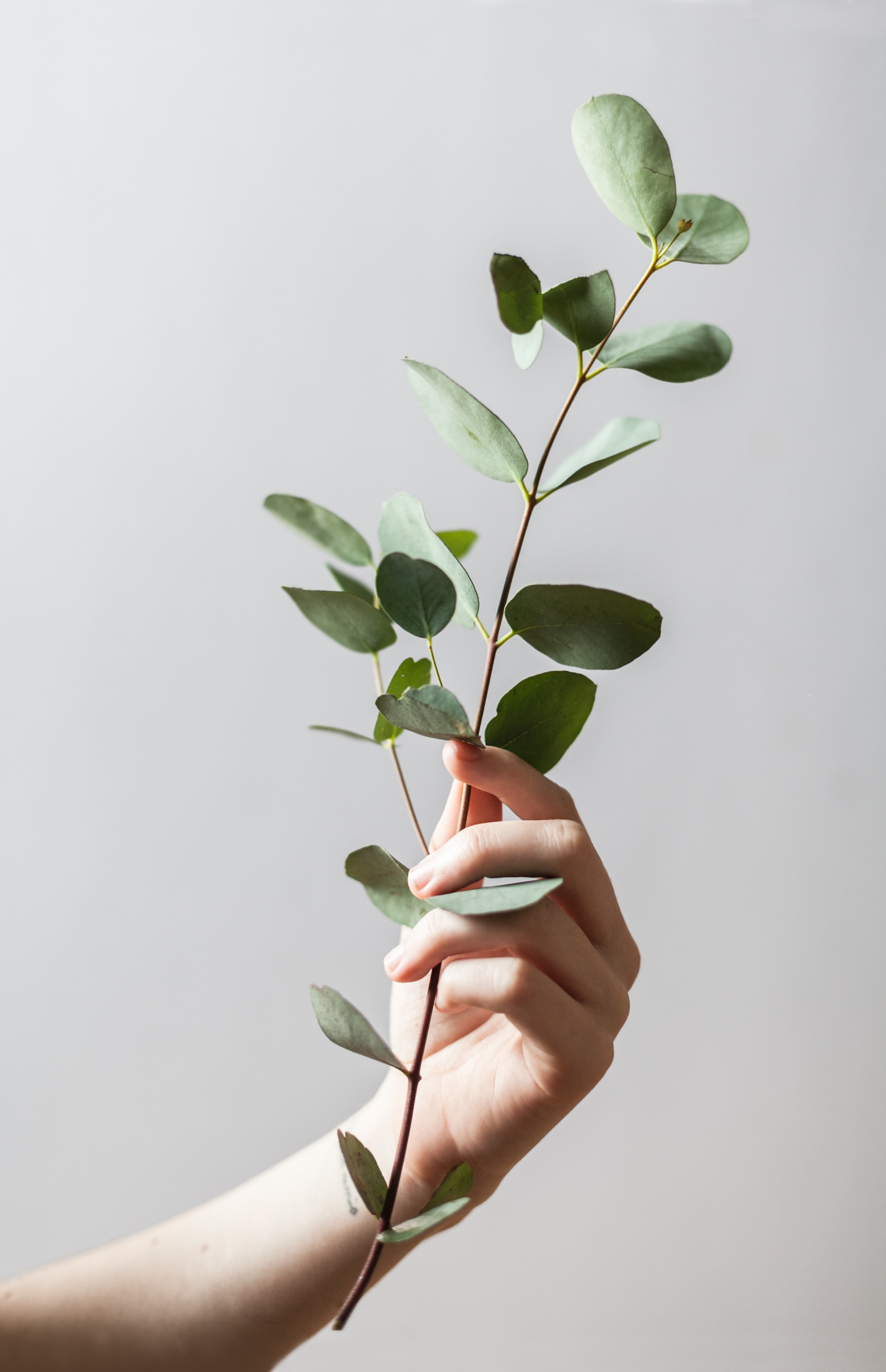 Alex-loup-4N5huJDOydQ-unsplash
