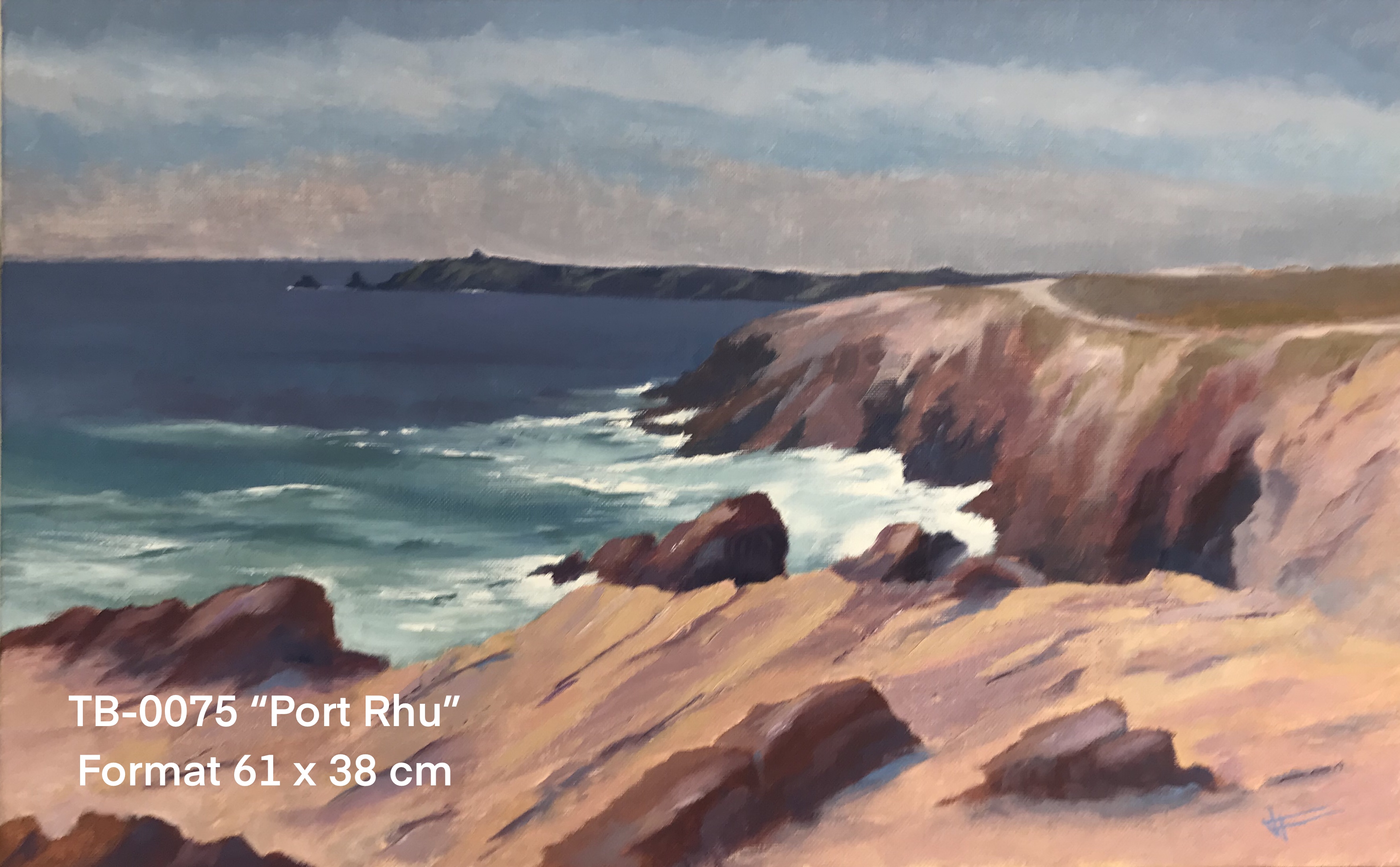 Ty by artiste peintre quiberon tb0075
