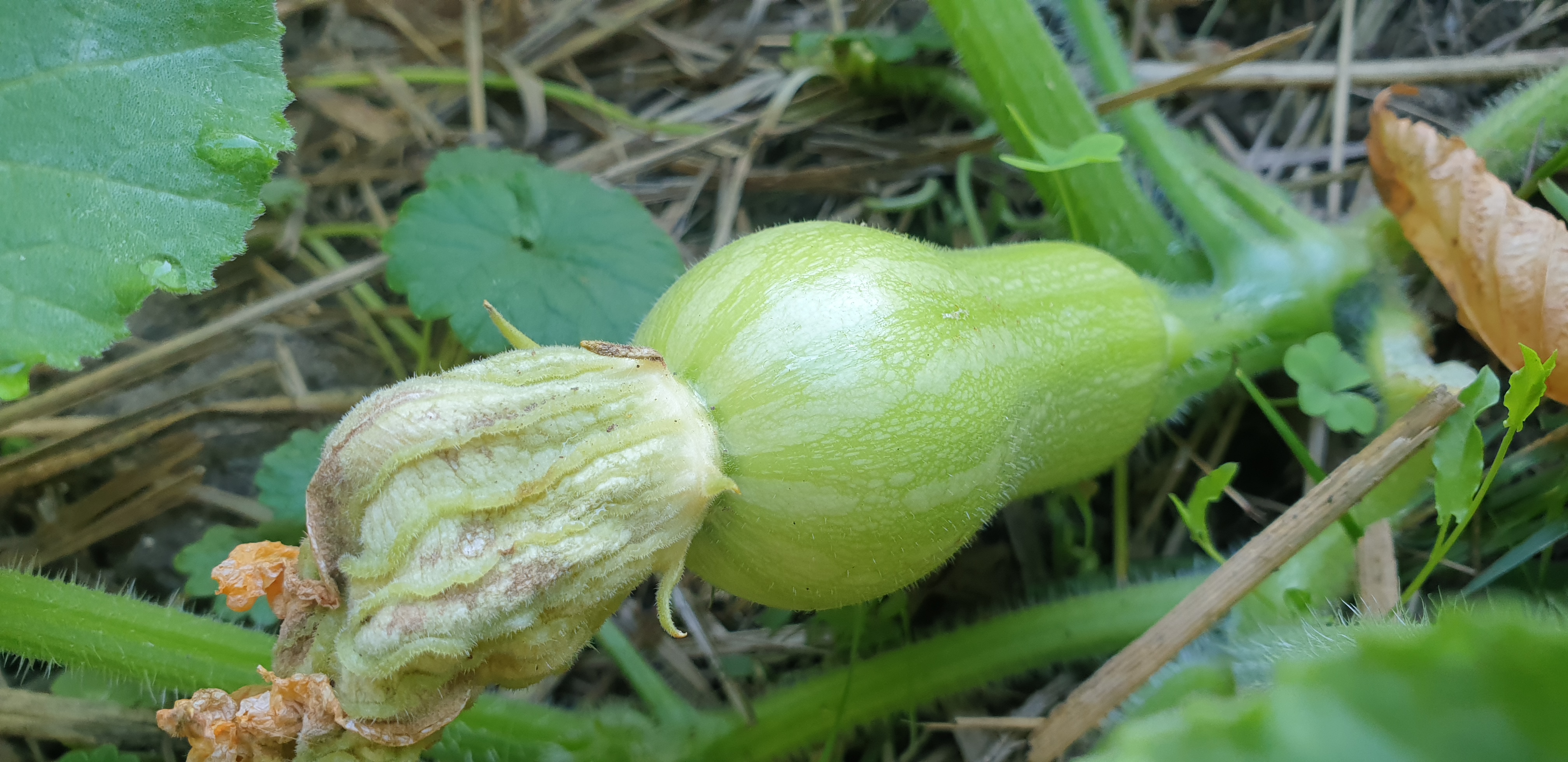 20190906 092744