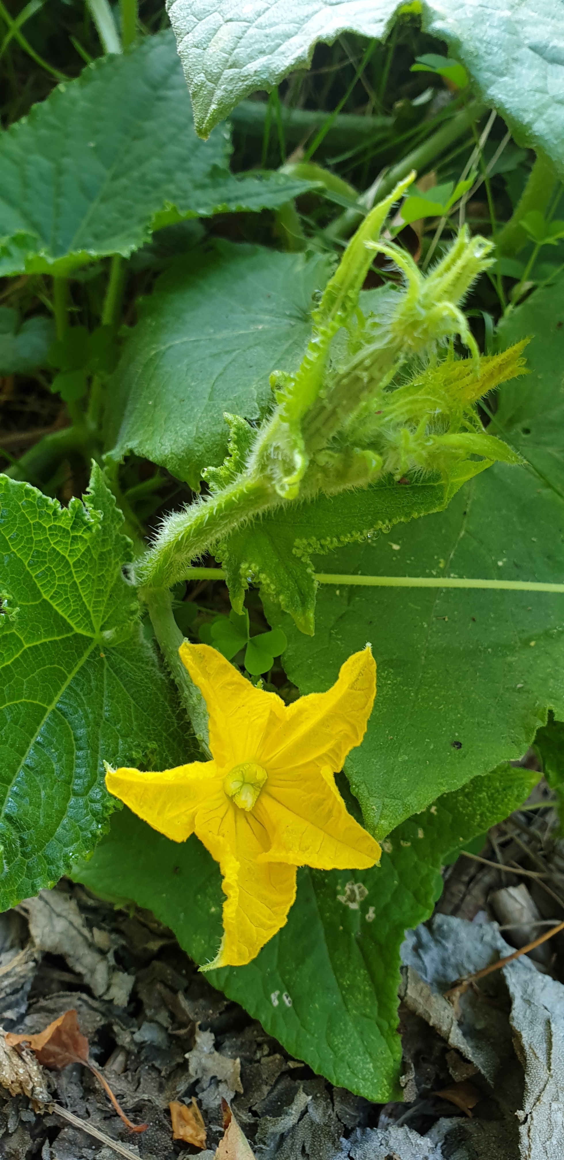 20190906 092836
