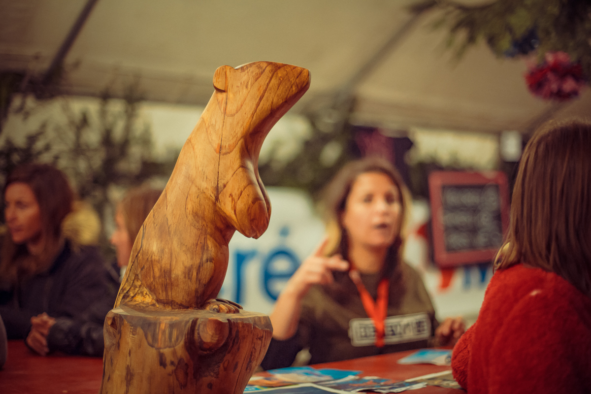 Bigbag festival 2015 pixbynot web 33 