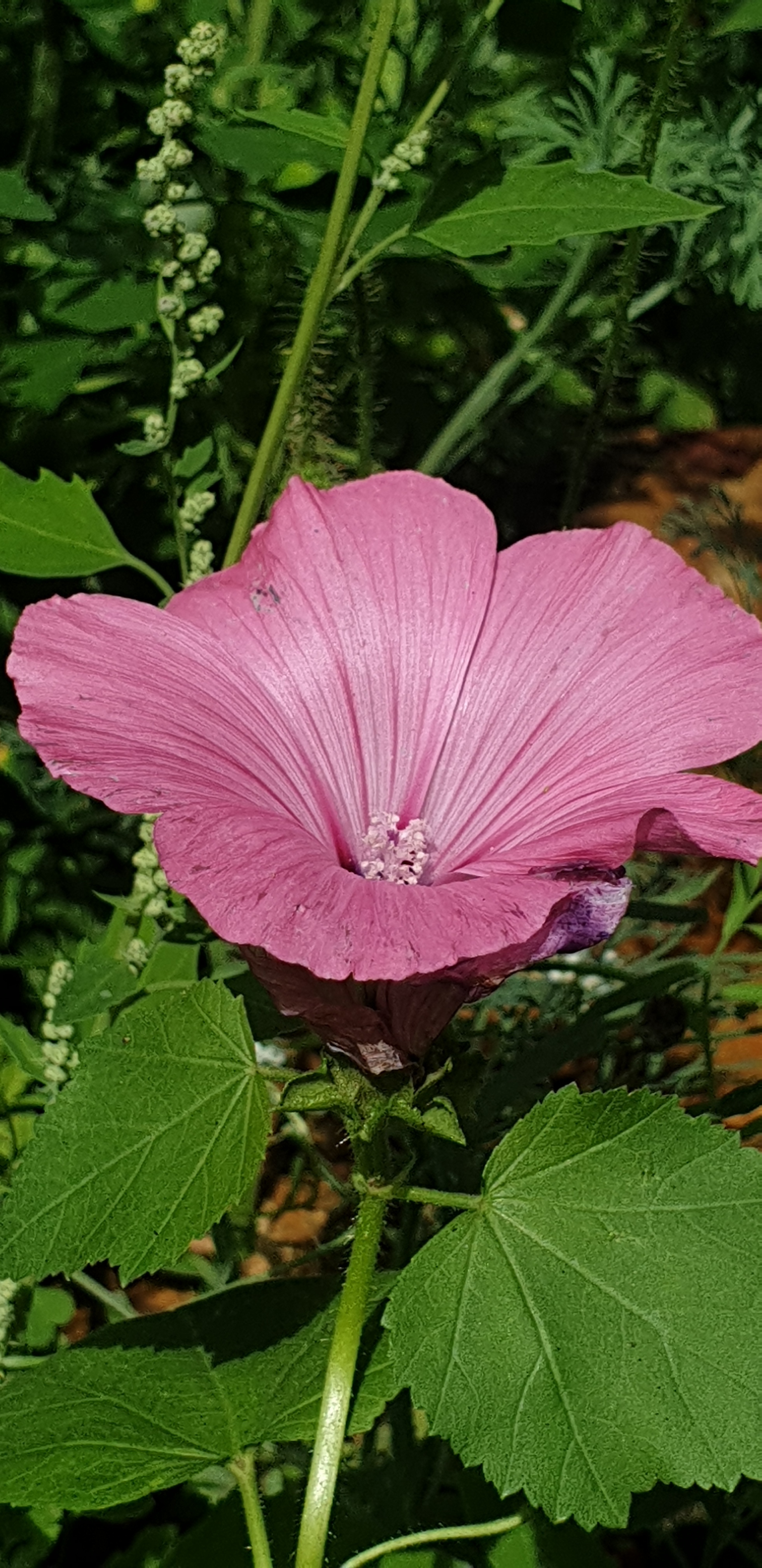 20190810 134045