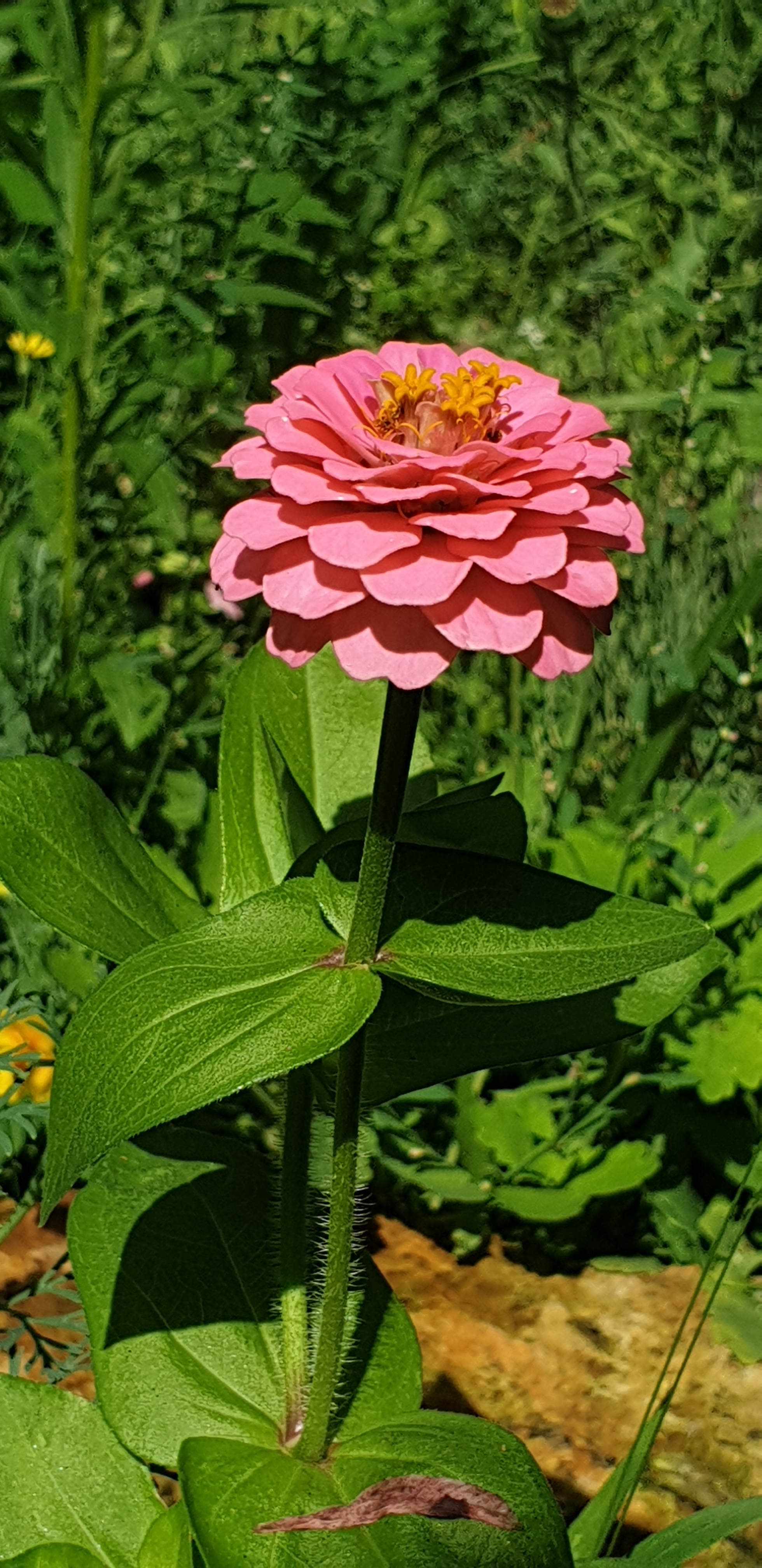 20190810 134108