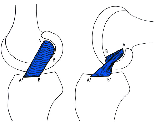 Fig3-b260e