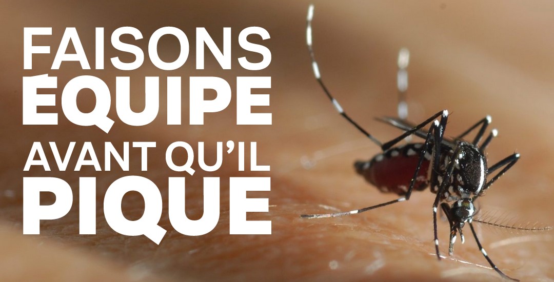 Lutte contre le moustique tigre !