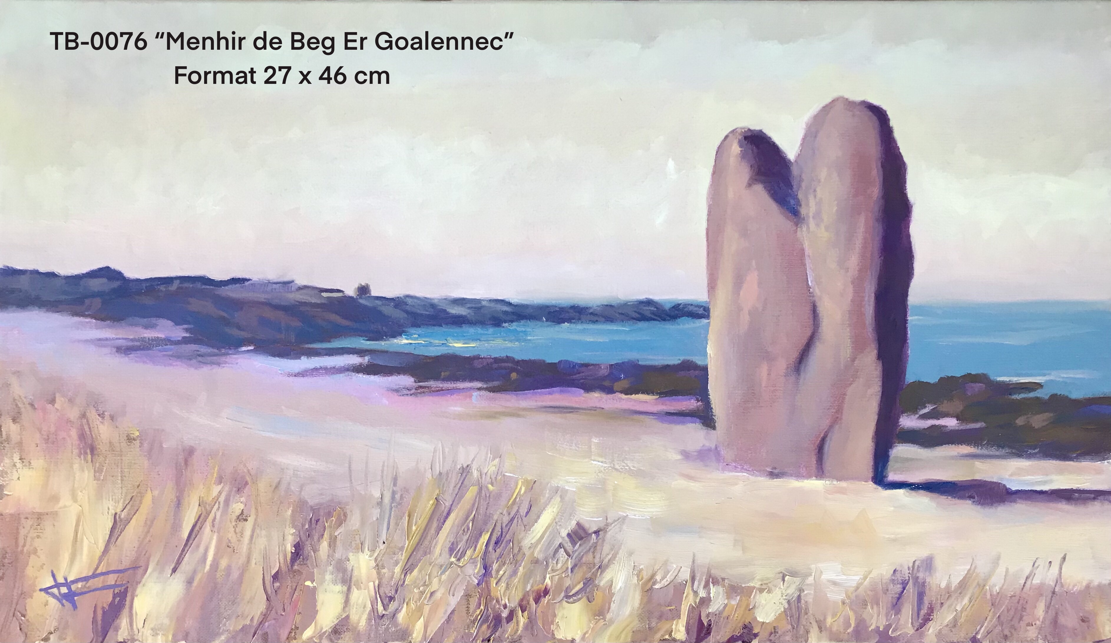 Ty by artiste peintre quiberon tb0076