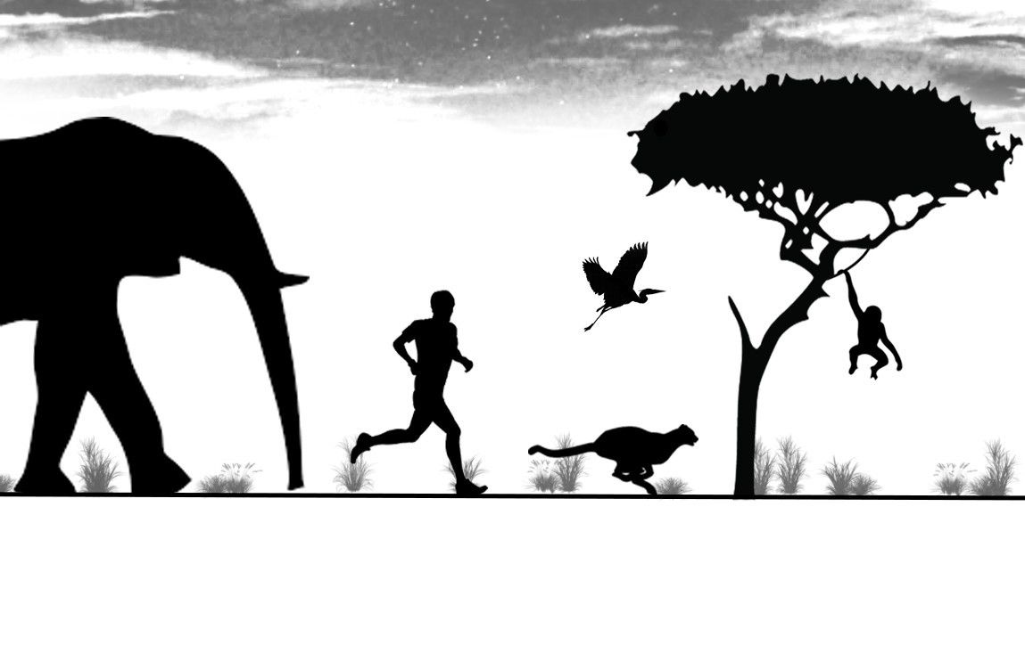 Courir-pour-les-animaux