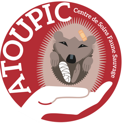 Logo-atoupic