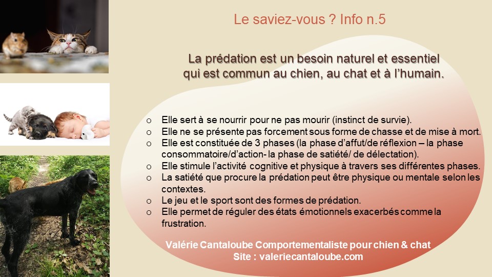 "Le saviez-vous" - Info n.5 : La prédation est un besoin naturel.