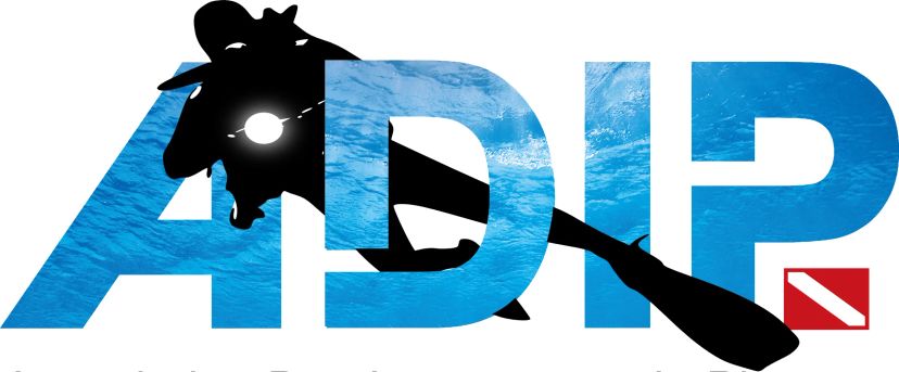 Logo plongeur adip