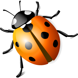 -00-coccinelle