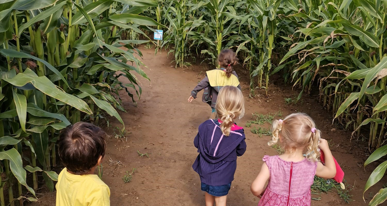 Allee du labyrinthe3