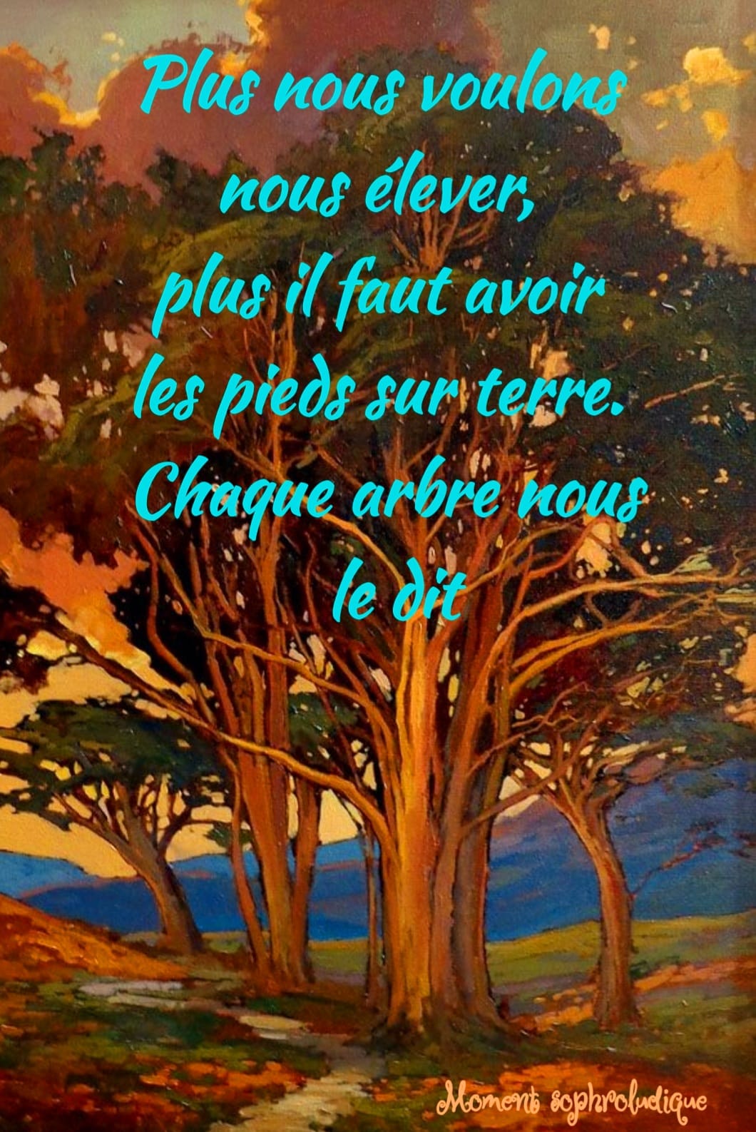 Avoir-les-pieds-sur-terre