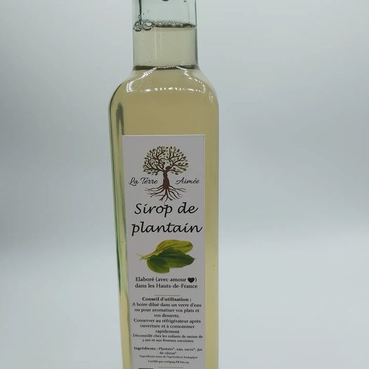 Sirop plantain 250ml
