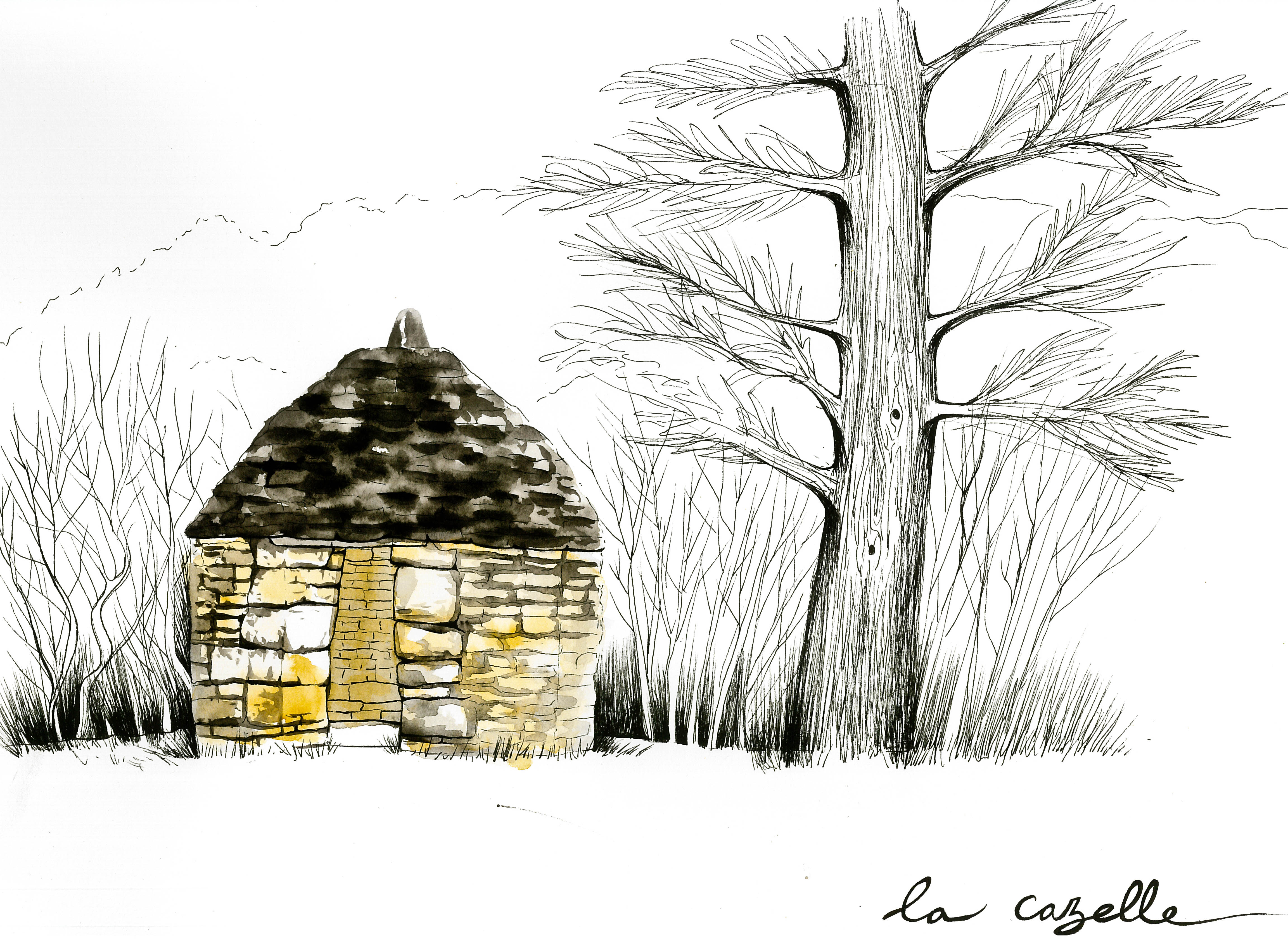 Le causse4