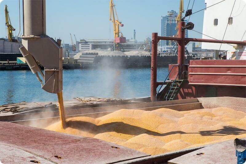 Cimex-Barco-Granelero-Maiz