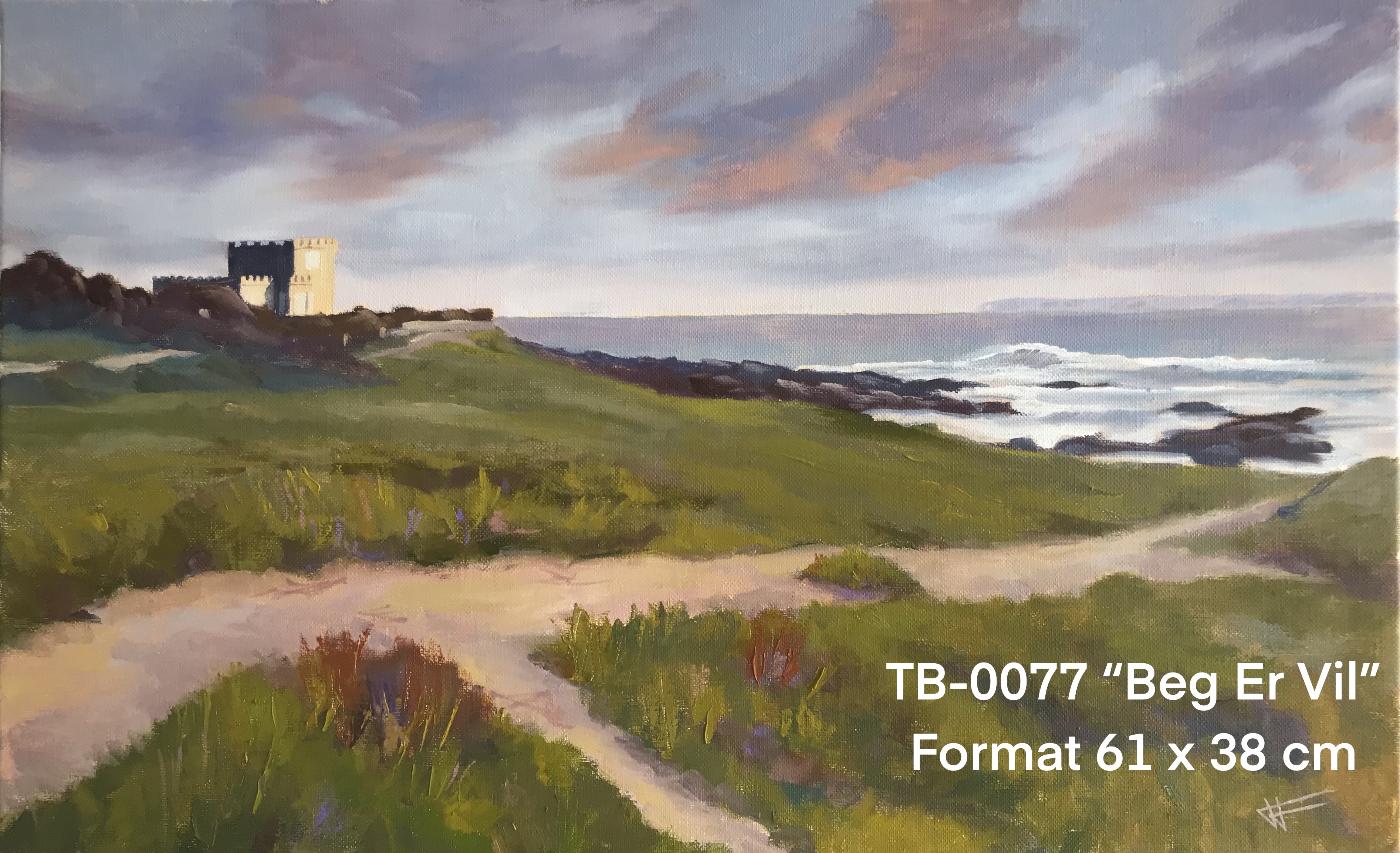 Ty by artiste peintre quiberon tb0077