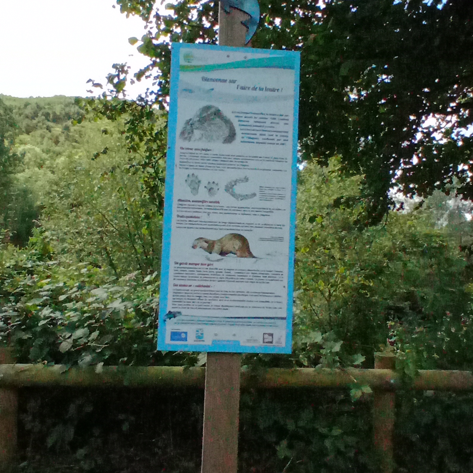 Aire-de-la-loutre