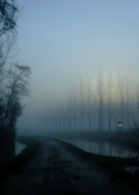 Fond-ecran-page-accueil