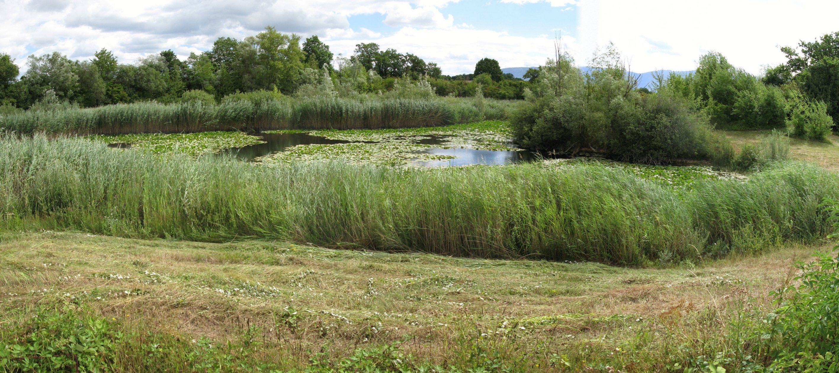 Pano etang2