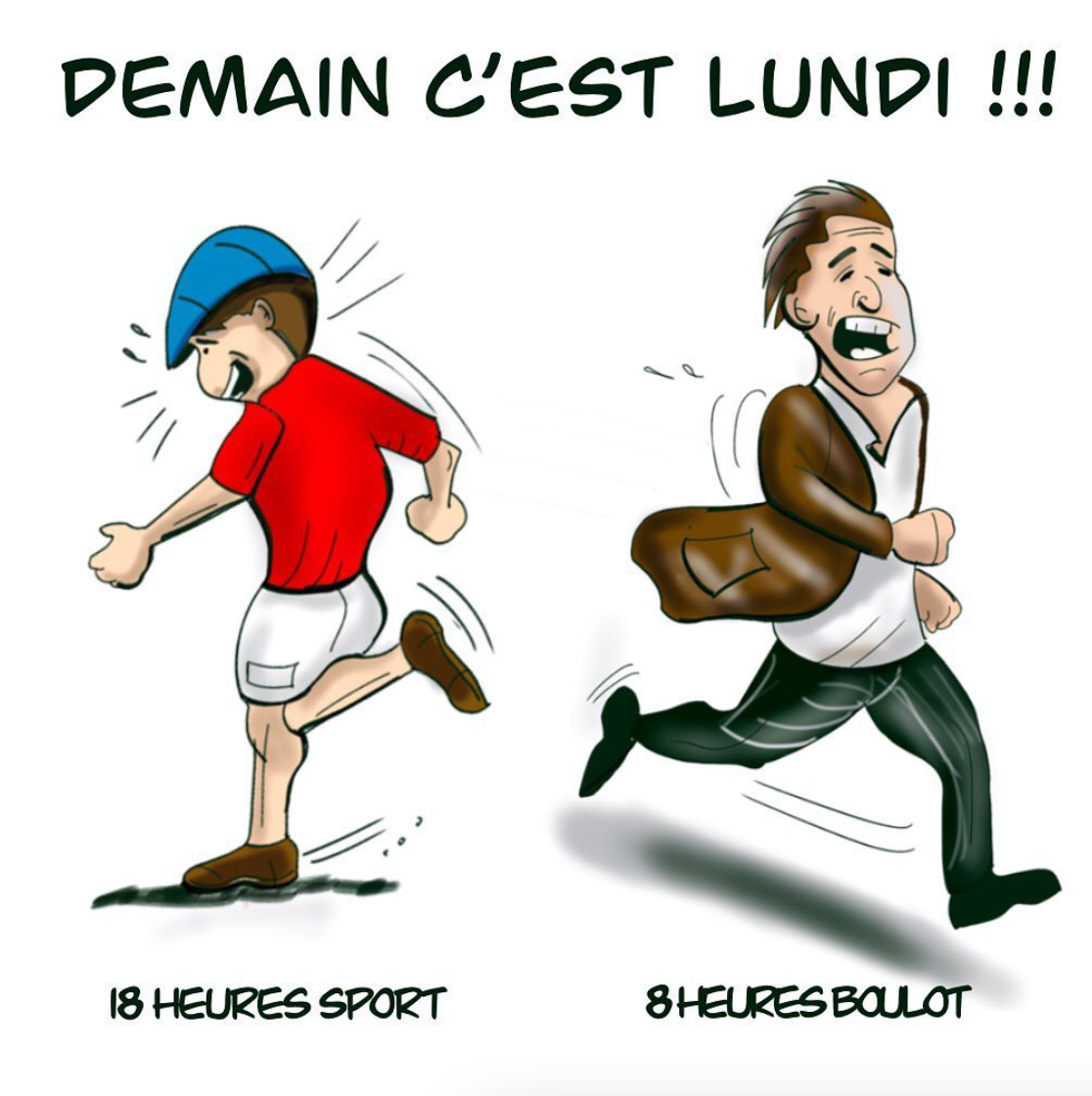 Vous souhaitez une récurrence de publication avec des dessins réalisés sur mesure, nous pouvons échanger sur cette prestation afin de répondre à votre cahier des charges et vos attentes. 