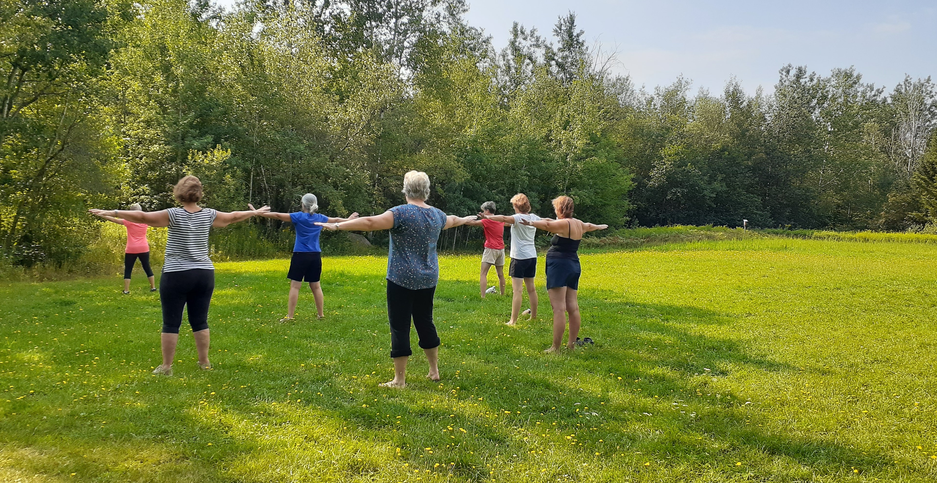 Cours en Plein air Tai-chi, Qi gong santé, Méditation