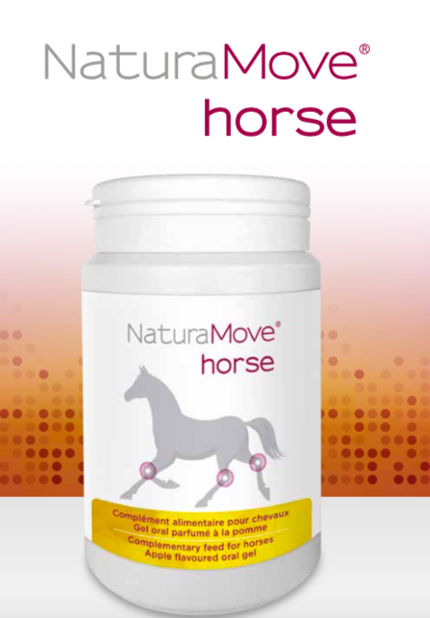 N-horse