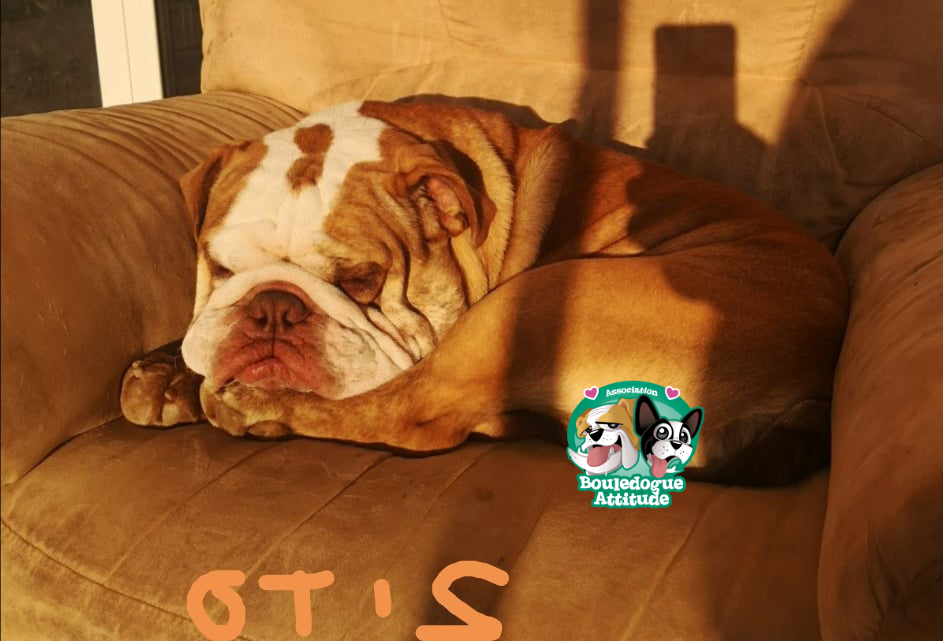 Otis