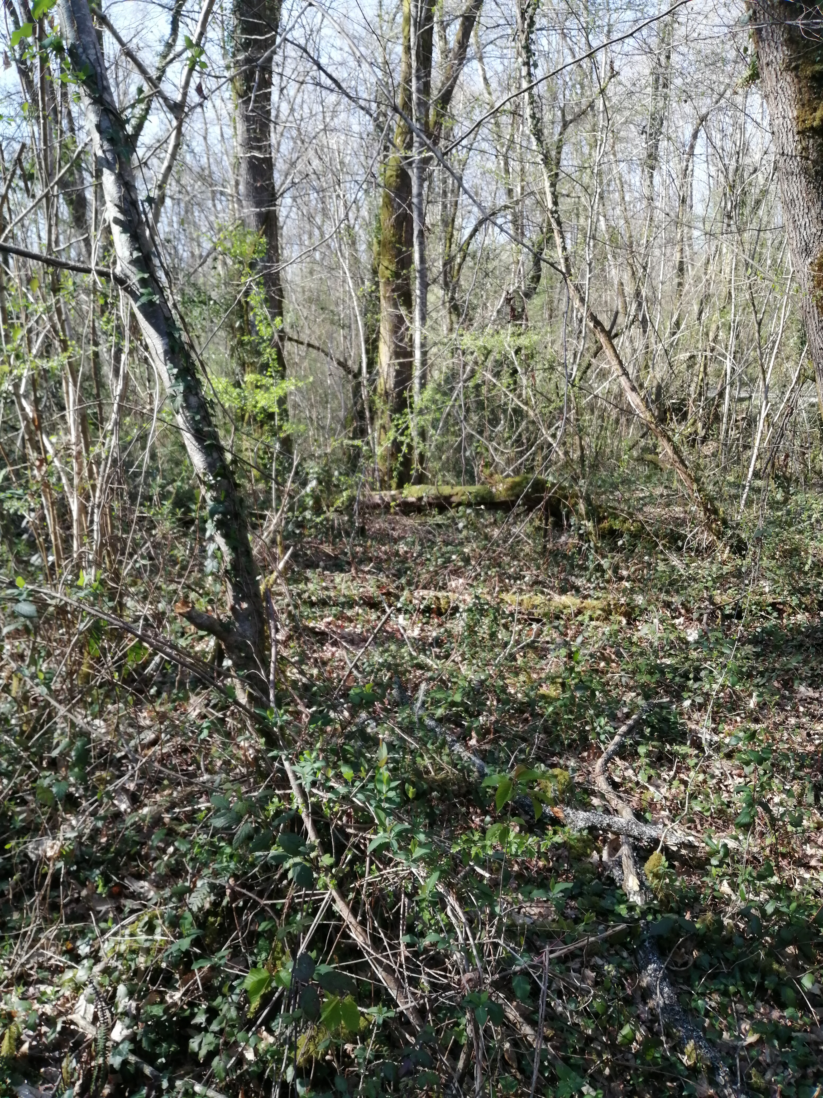 Img 20210323 154158