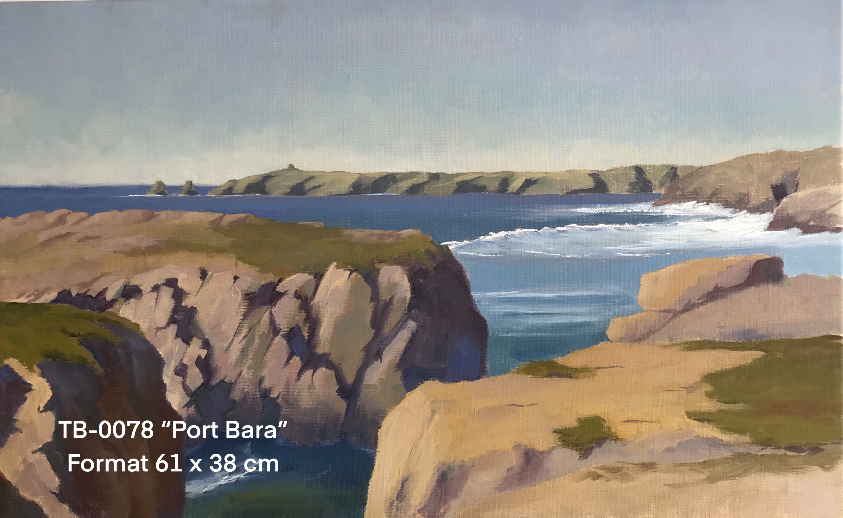 Ty by artiste peintre quiberon tb0078