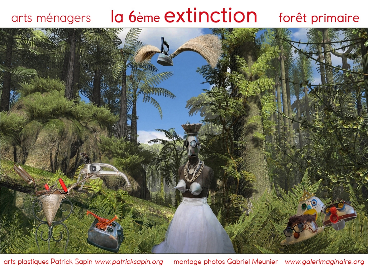 Foret-primaire-CM-arts-menagers-copie