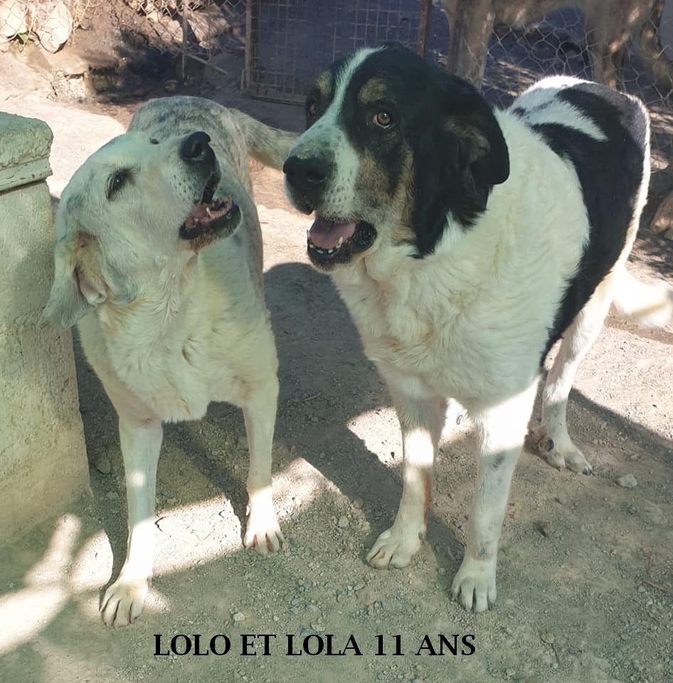 Lolo et lola