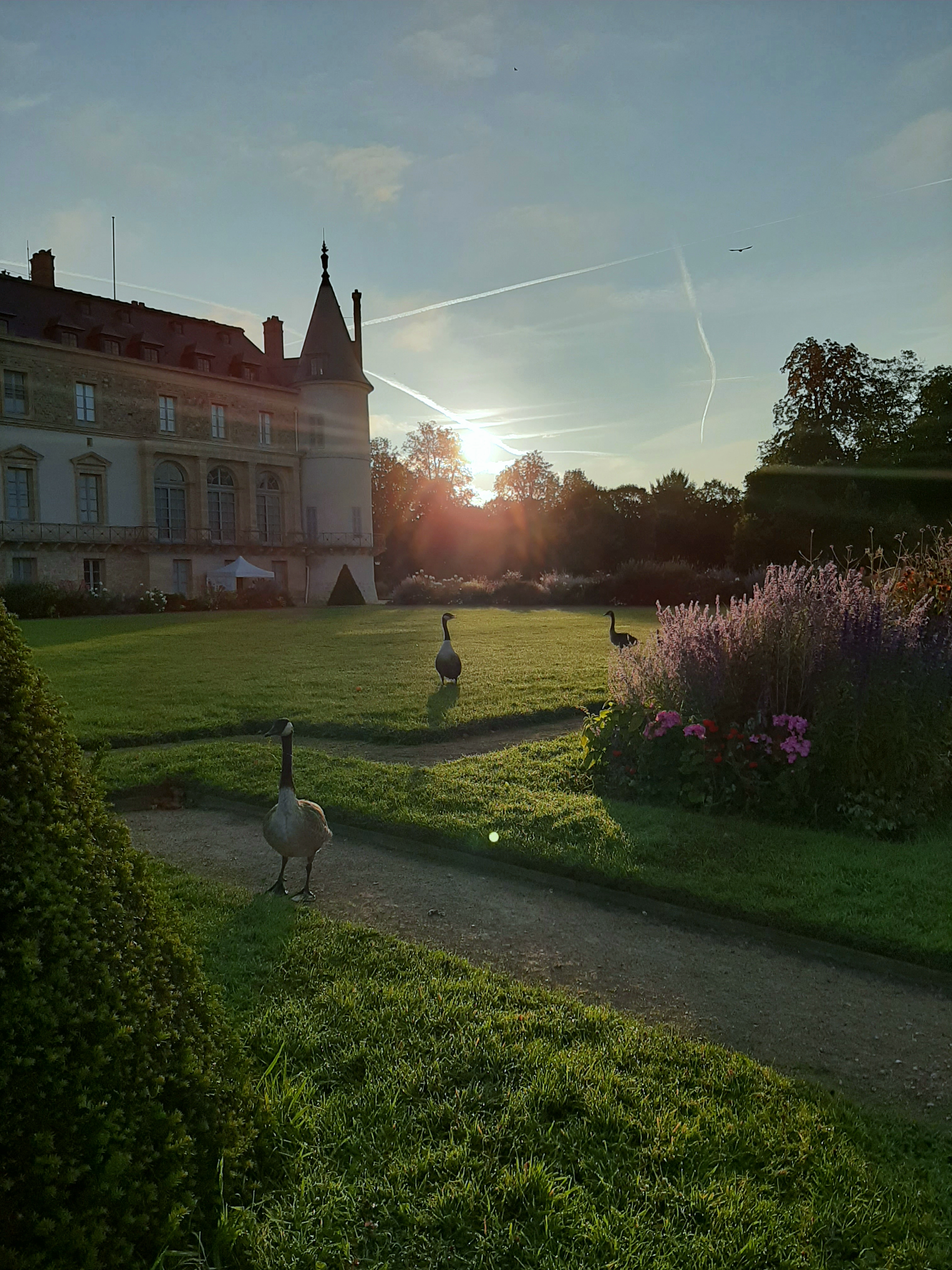 Rambouillet