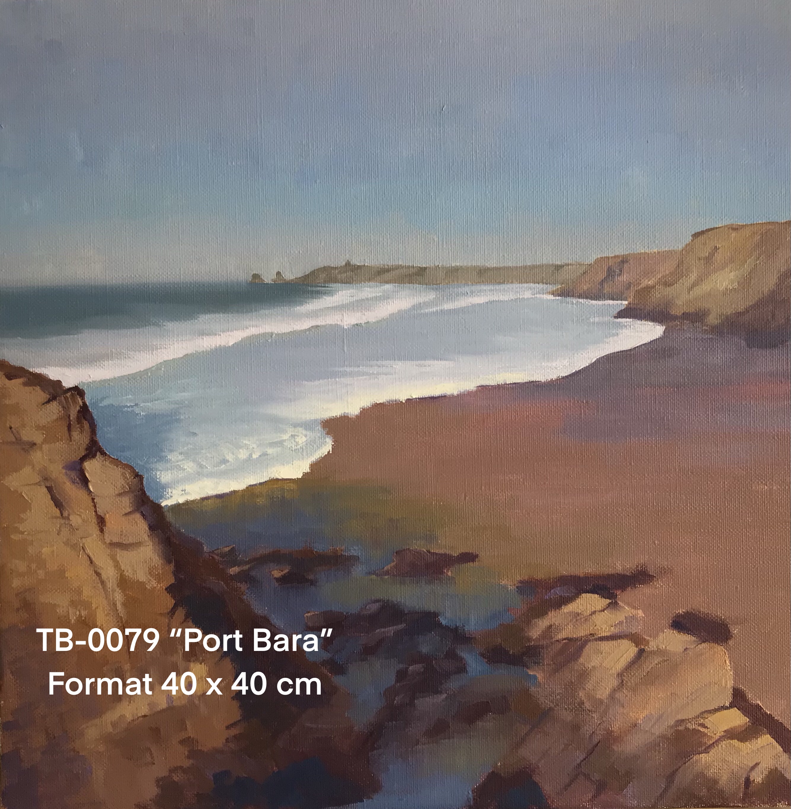 Ty by artiste peintre quiberon tb0079