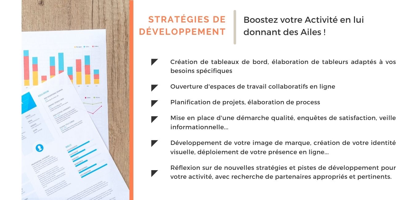 Strategies de developpement