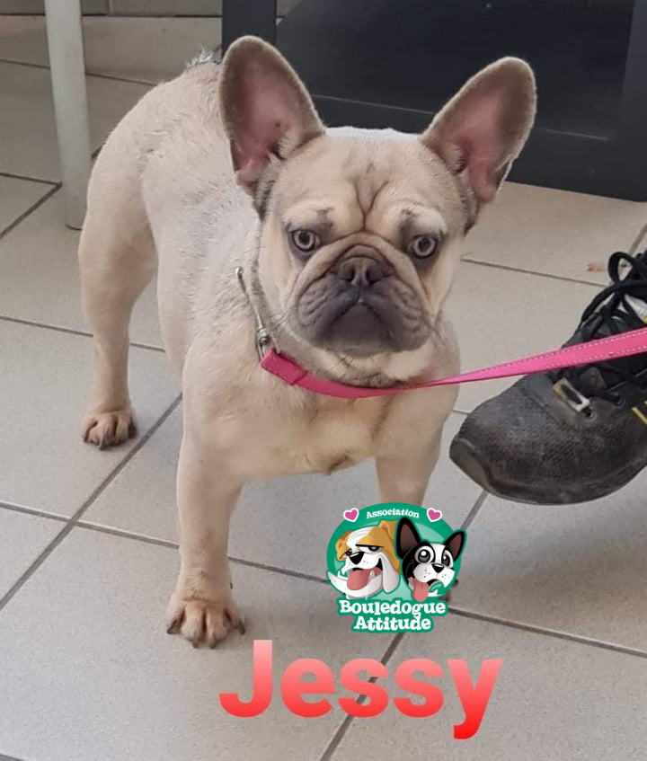 Jessy