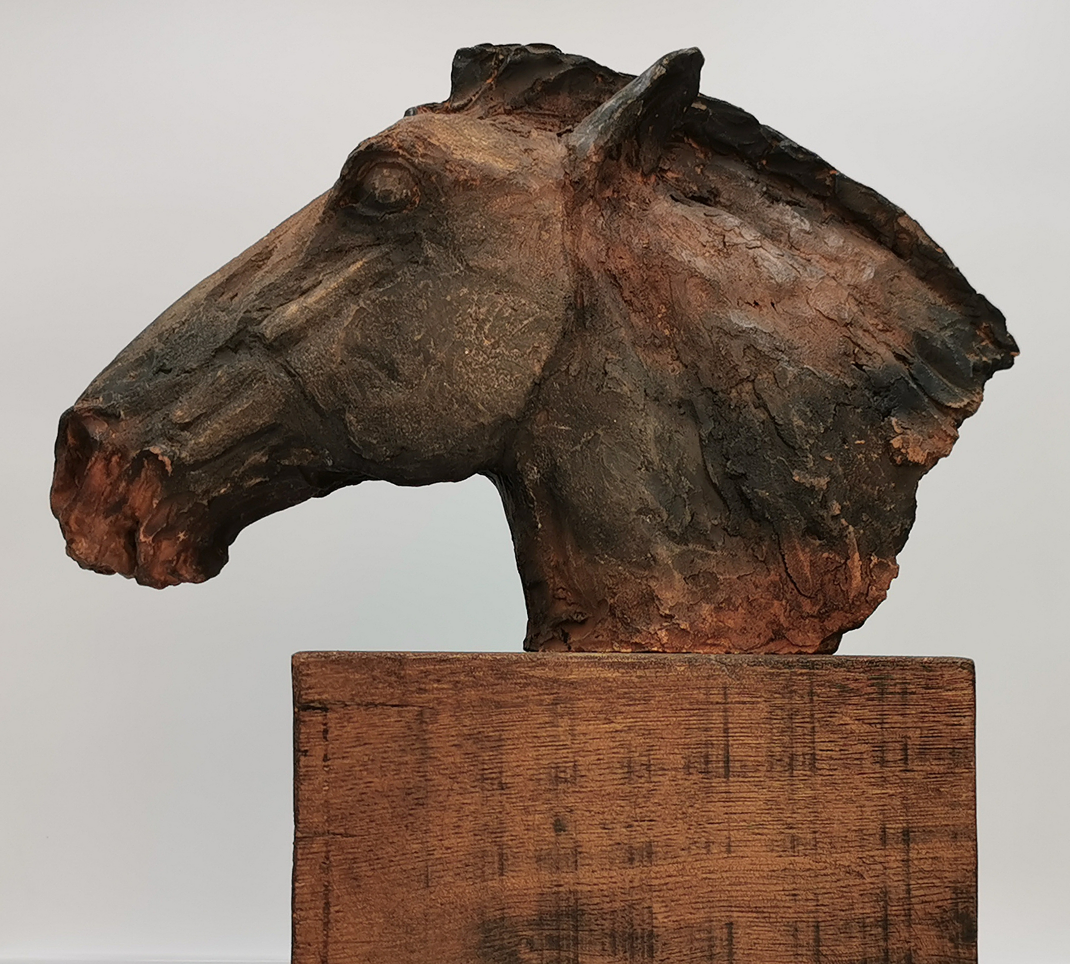 Tete de cheval