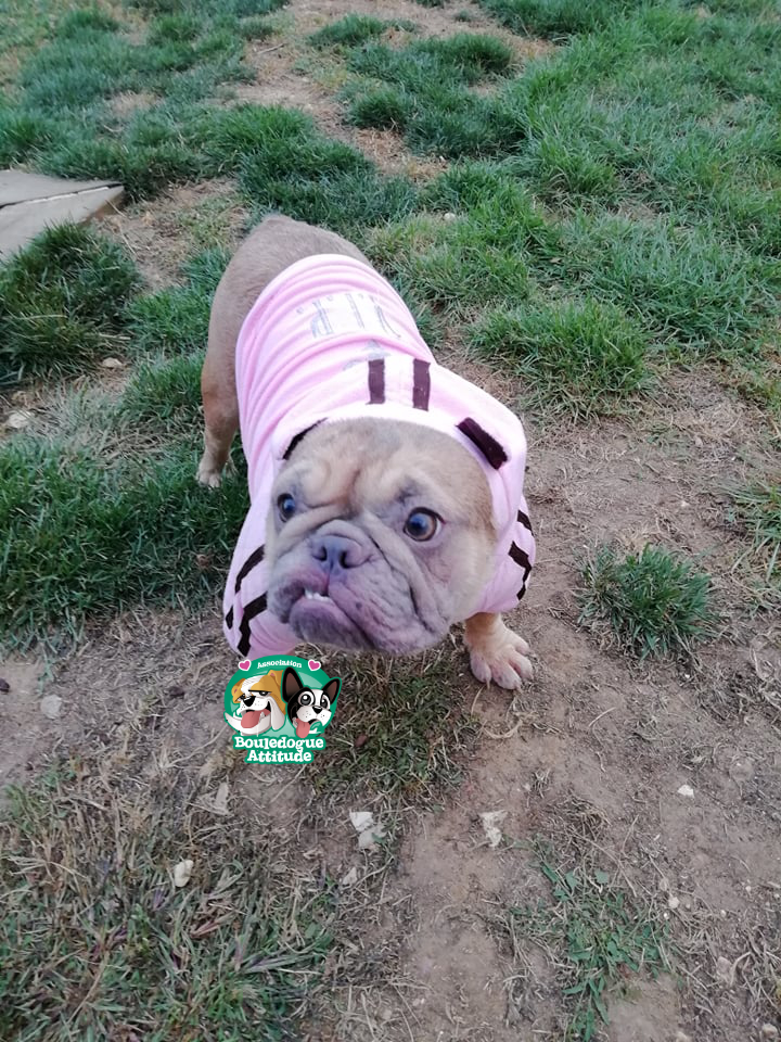 Roxy
