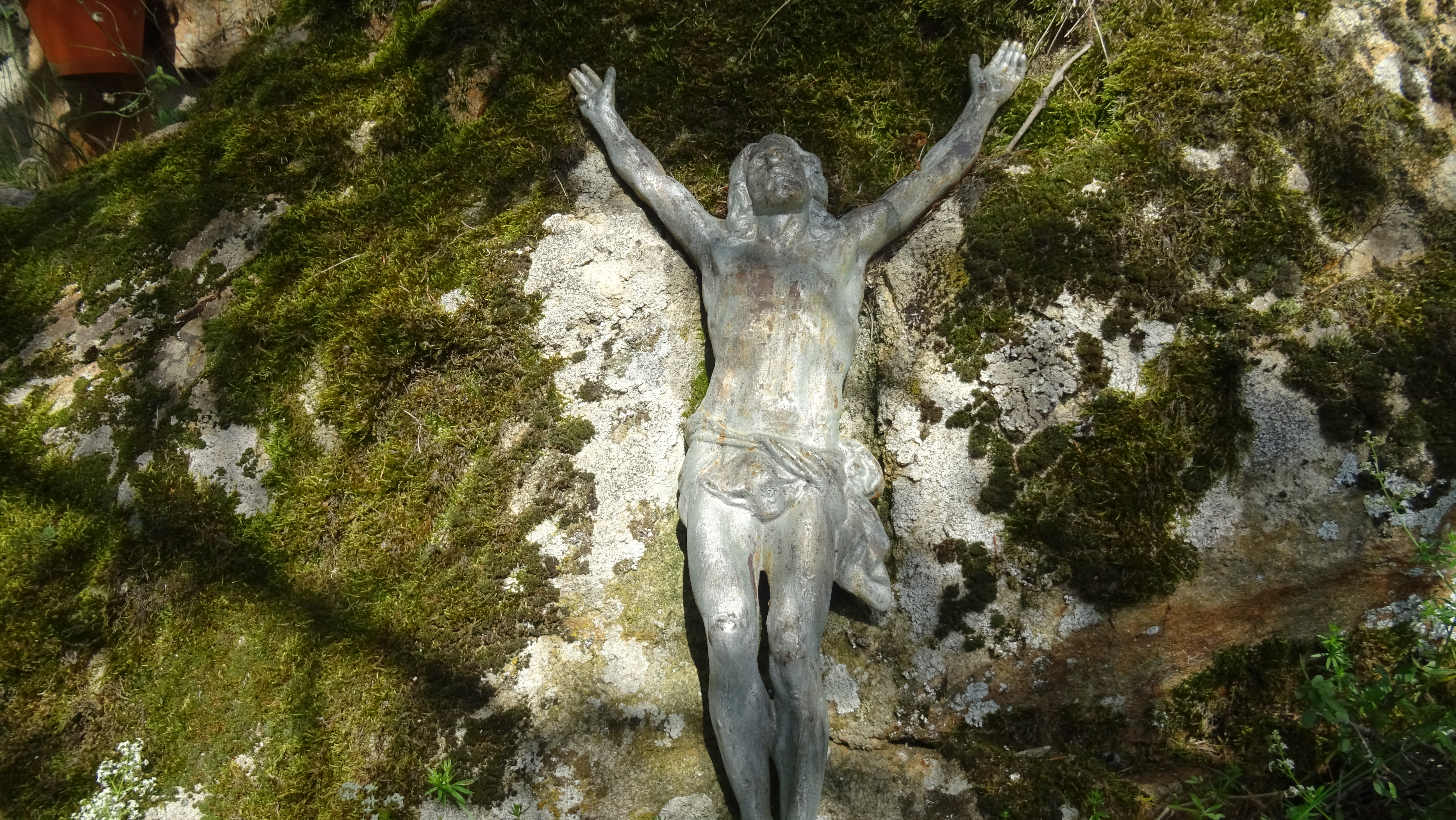 Dsc00677
