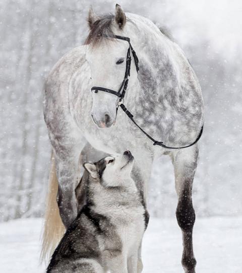 Une-photographe-russe 2b036ab3155eb0d14d361e8d53d8fe235141d821