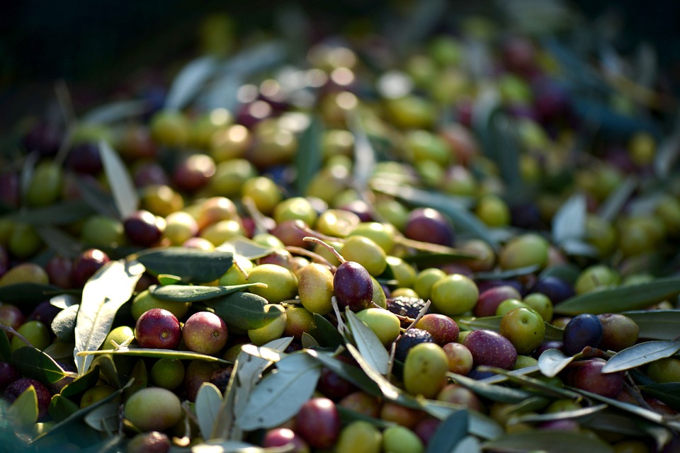 Olives-253264 960 720