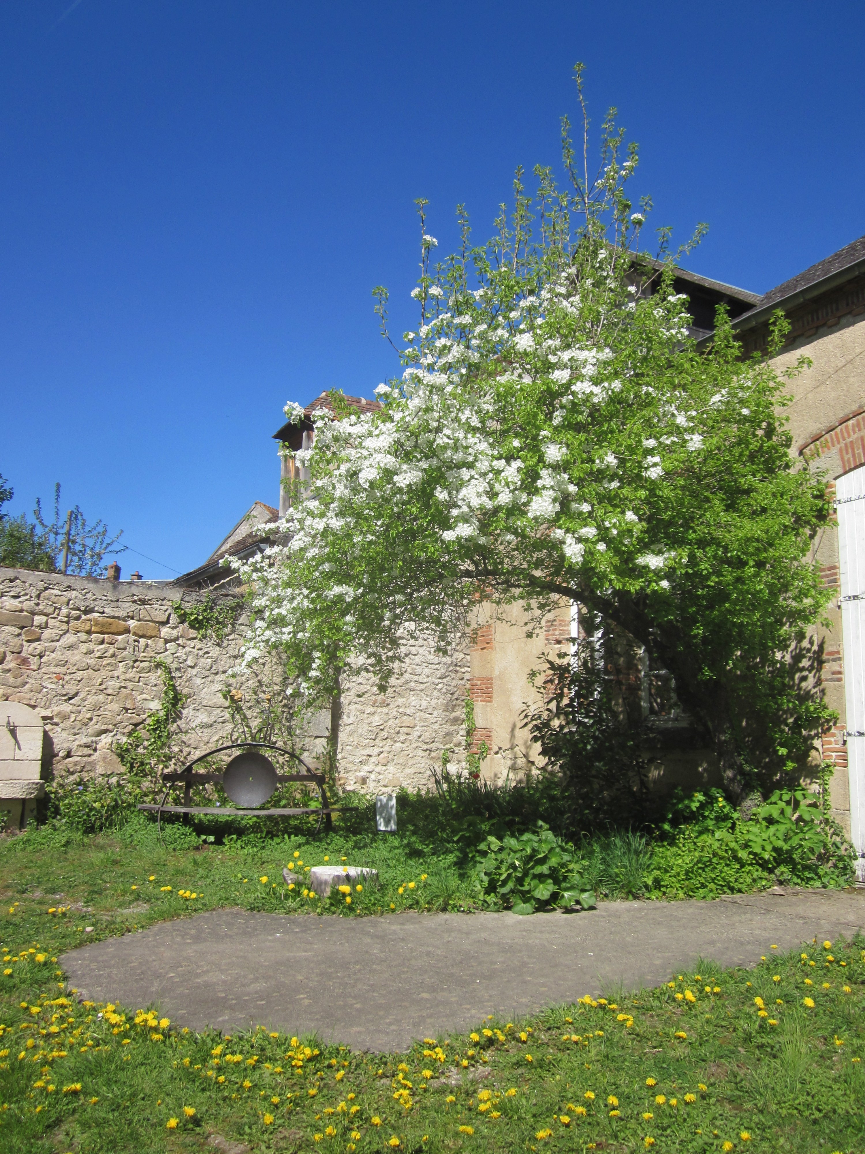 Jardin2