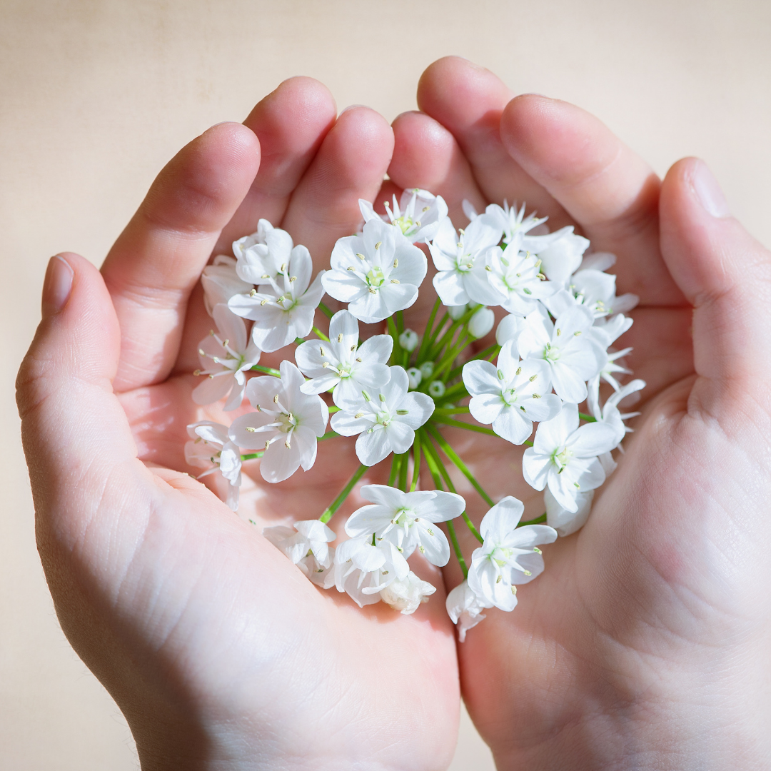 Sérénité du Corps de l'Esprit Mes accompagnements -Réflexologie Plantaire et Liberation Emotionnelle à Ruy Montceau-Isère